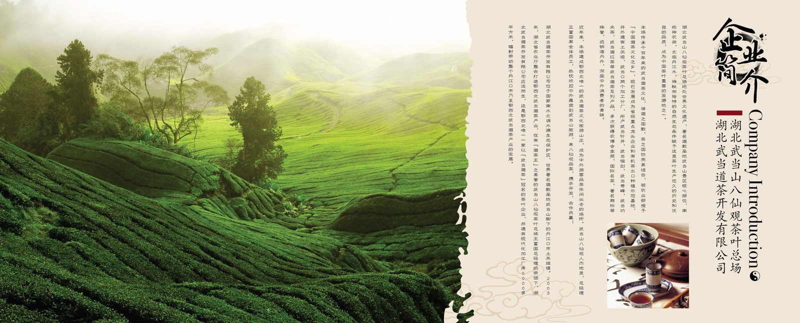 武当道茶 作品 18