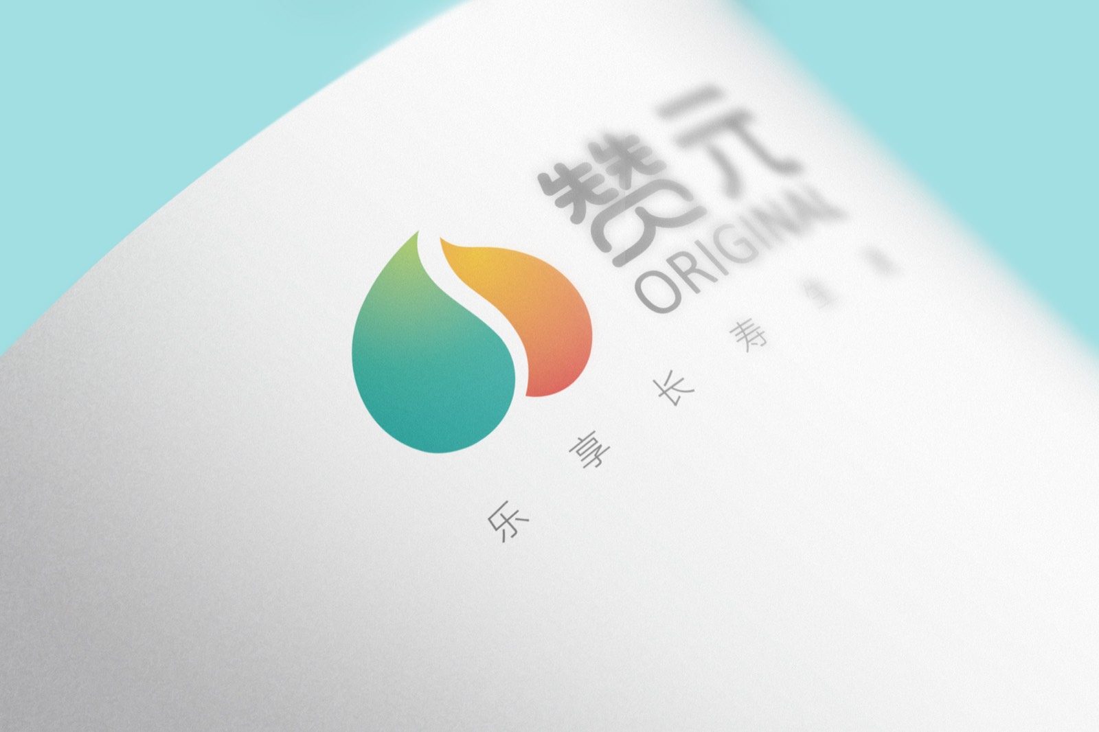 赞元 — 品牌设计
